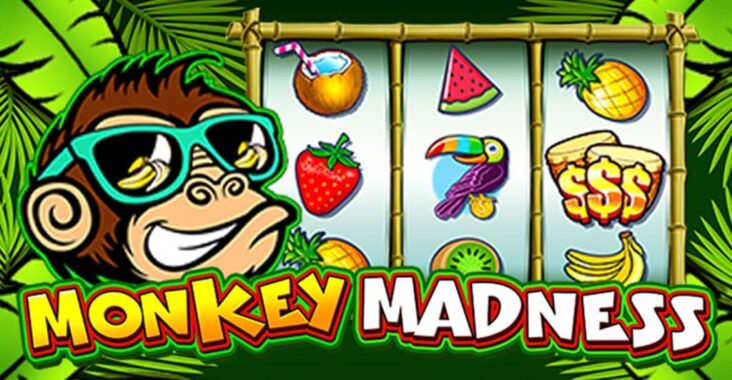 Game Slot Monkey Madness di Situs BETBIRU